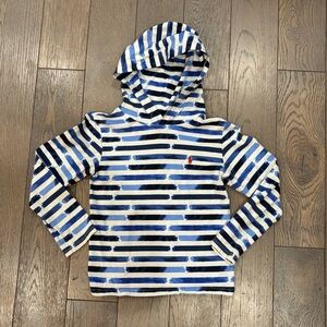 Boys Polo Ralph Lauren Blue and White Striped Hoodie